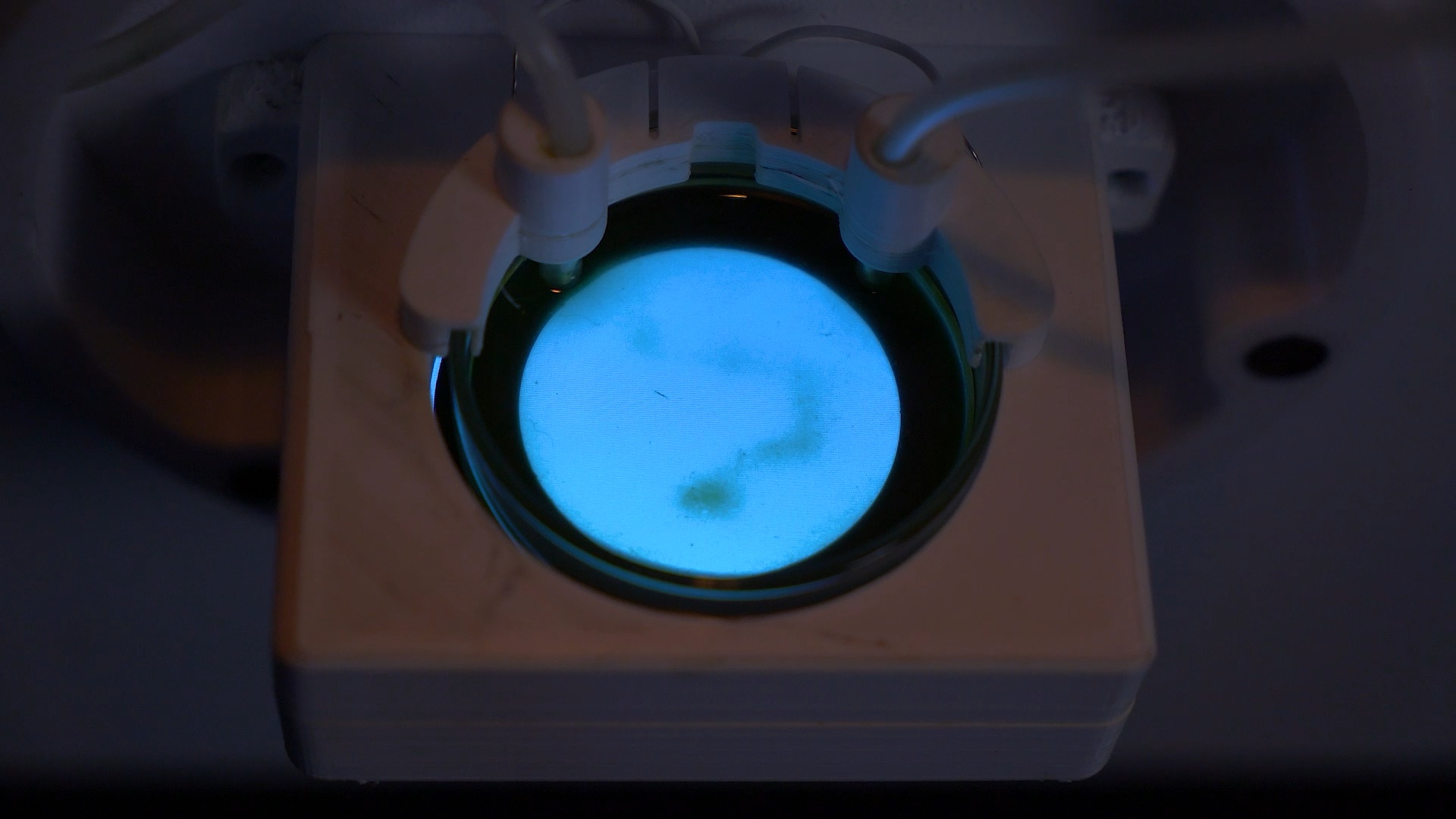 Meso observatory (petri dish detail)